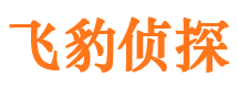 镶黄旗市侦探公司